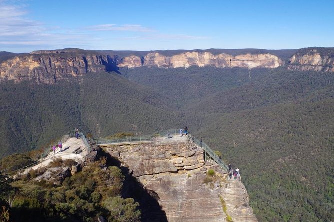 PRIVATE Blue Mountains tour & Koalas, Kangaroos, Cruise plus more - Blue Mountains UNESCO views: the “photo stops” that actually connect