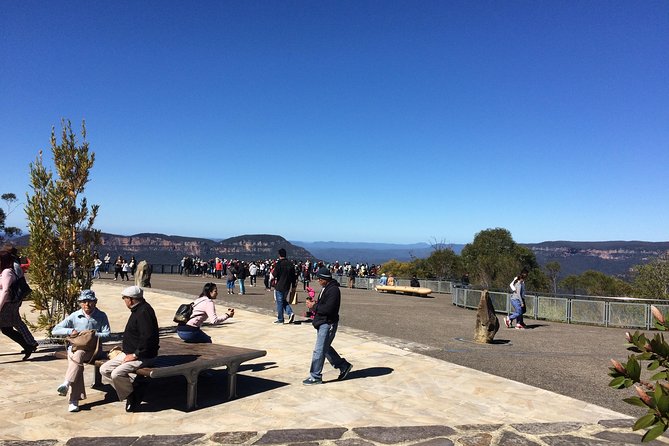 PRIVATE Blue Mountains tour & Koalas, Kangaroos, Cruise plus more - Pickup at 8:00 and the comfortable rhythm of “arrive, roam, repeat”