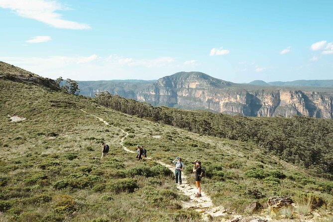 Private Blue Mountains Tour | Waterfalls, Koalas & Views - Pickup, comfort, and how the luxury vehicle changes the day