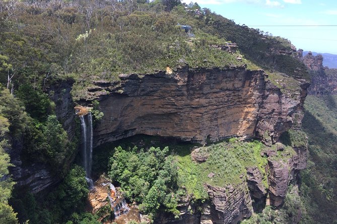 PRIVATE Blue Mountains Tour, Wildlife Park and River Cruise - Wildlife Park Time: Featherdale or Sydney Zoo