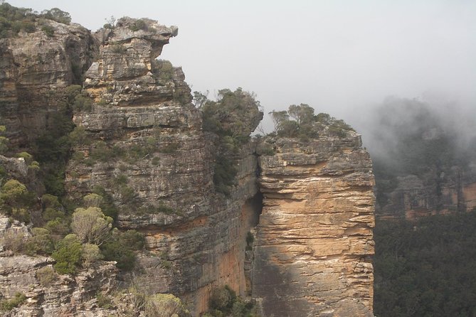 PRIVATE Blue Mountains Tour with Expert Guide - Aboriginal culture and boomerang throwing: when the weather cooperates