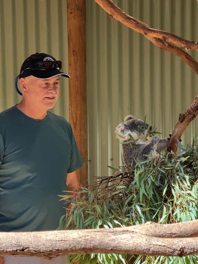 Private BlueMountains, ScenicWorld & AustralianWildlife Tour - Key highlights at a glance