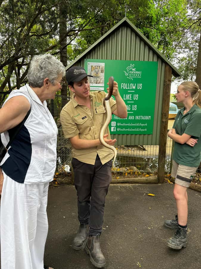 Private BlueMountains, ScenicWorld & AustralianWildlife Tour - Katoomba Falls, Sublime Point birdsong, and sunset lookouts
