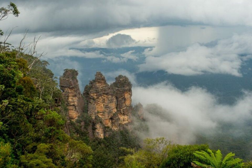 Private BlueMountains, ScenicWorld & AustralianWildlife Tour - Price and value: $920 for a premium private day