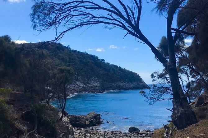 Private Bruny Island Discovery Tour - The sweet stop: Bruny Island Chocolate Company