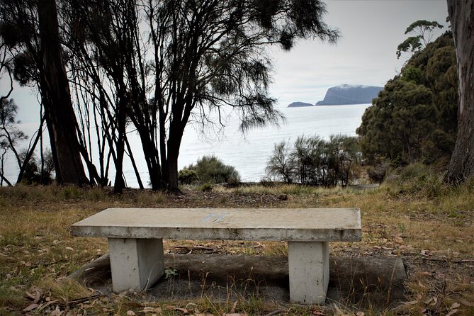 Private Bruny Island Discovery Tour - Ben Andrews and the art of tailoring a Bruny day
