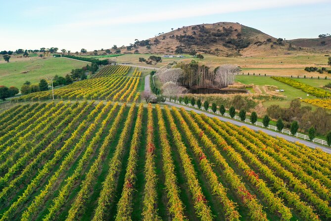 Private Canberra Winery Tour with lunch - The cellar door experience: what you’ll do at each stop