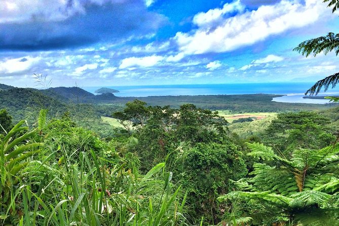 Private Cape Tribulation & Mossman Gorge Day Tour - Key Highlights Worth Marking