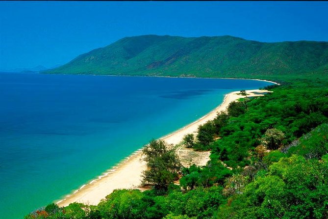 Private Cape Tribulation & Mossman Gorge Day Tour - The Guide Makes the Difference: Michelle, Mario, Simon, and John