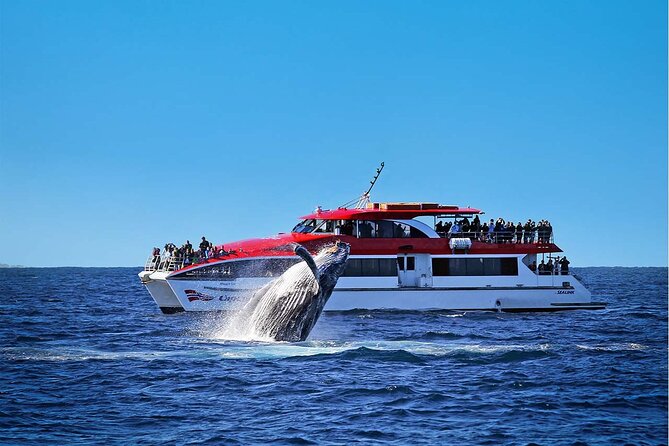 Private Catamaran Hire on Sydney Harbour - Onboard comfort that actually matters on the water