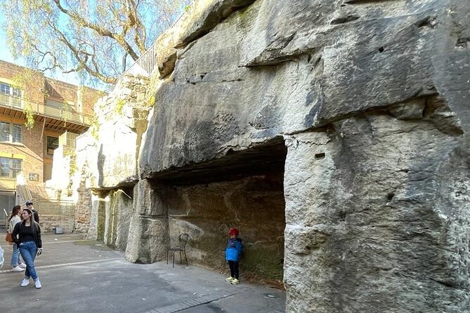 Private City Tour: Best of Sydney - Walking the Sydney Harbour Bridge (the difference between photos and experience)