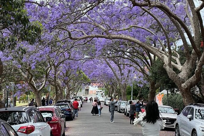 Private City Tour: Best of Sydney - Guide-led storytelling: why Fazli is such a big deal here