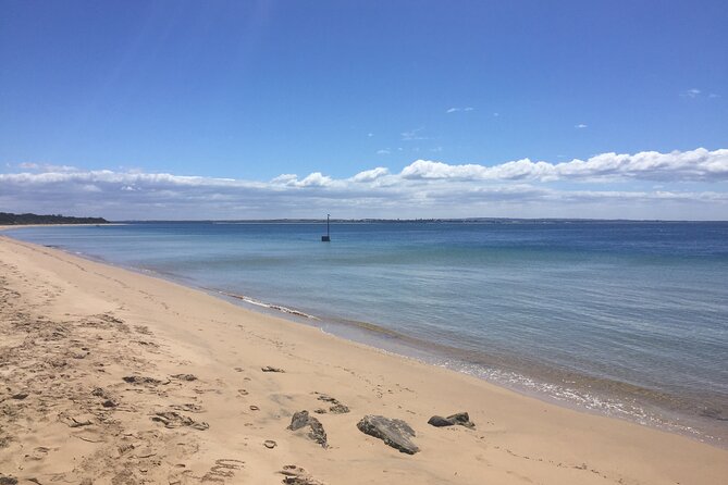 Private custom Penguin Tour with Premium Penguin Tickets - Cape Woolamai viewpoints: why the coastline stop feels more than scenic wallpaper