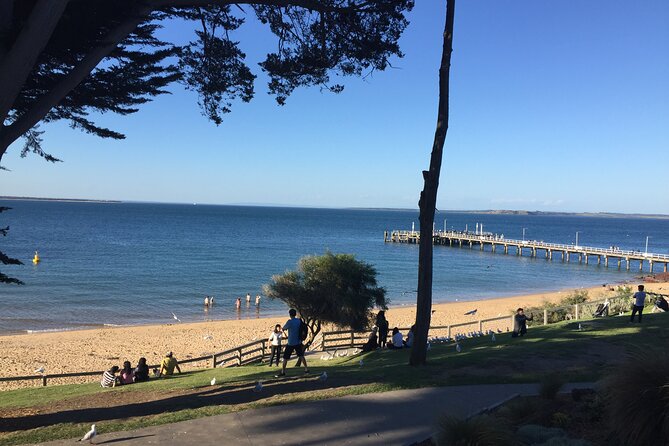 Private custom Tour of Phillip Island With Penguin Parade - The Value Math: What You Pay (and Why It Can Make Sense)