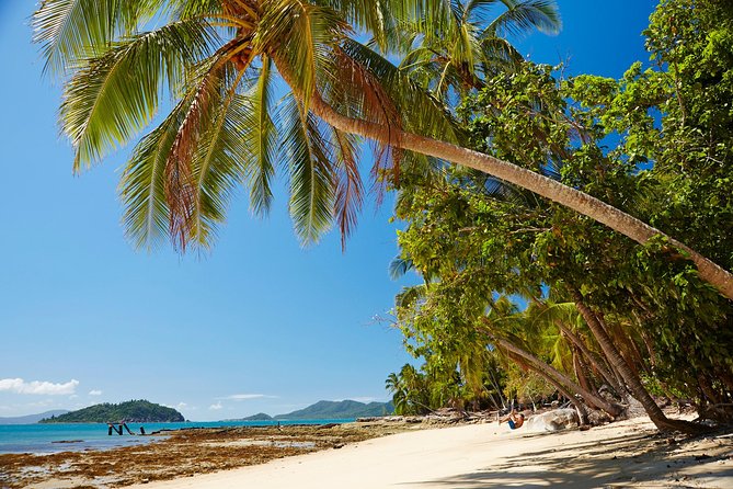 Private Daintree Wanderer Tour - Private Daintree Wanderer: The Real Reason It’s Worth Doing