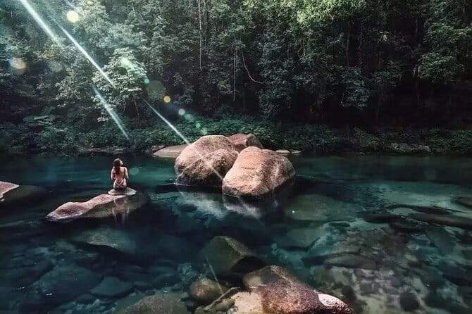 Private Daintree Wanderer Tour - Price and Value: What $555.86 Buys You (and What It Doesn’t)