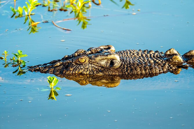 Private Day Tour Kakadu - A private Kakadu route that actually fits your day
