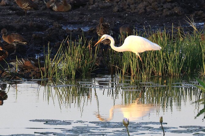 Private Day Tour Kakadu - Guluyambi Cultural Cruise: East Alligator River with an Aboriginal guide