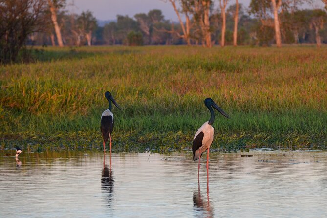 Private Day Tour Kakadu - Humpty Doo Hotel: a classic outback dinner stop (not included)