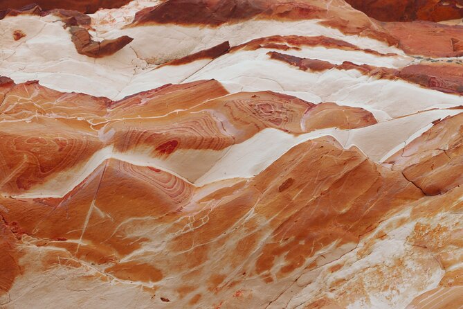 Private Full Day Darwin City Tour with Lunch and Pickup - Museum and Art Gallery of the Northern Territory: Cyclone Tracy and Indigenous arts