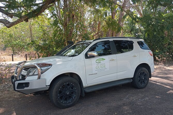 Private Full Day Darwin City Tour with Lunch and Pickup - Charles Darwin National Park: a quick skyline moment for cruise ship views