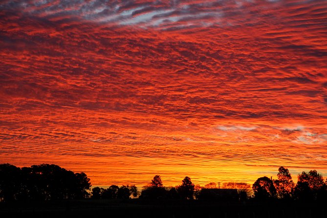 Private full-day wine tour in the Hunter Valley - Key reasons this Hunter Valley private tour works