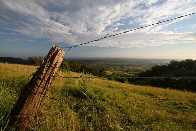 Private full-day wine tour in the Hunter Valley - Wineries and scenic stops: how your guide chooses the route