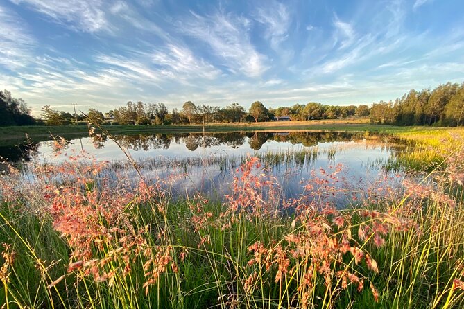 Private full-day wine tour in the Hunter Valley - Lunch timing and how to handle it without derailing the day