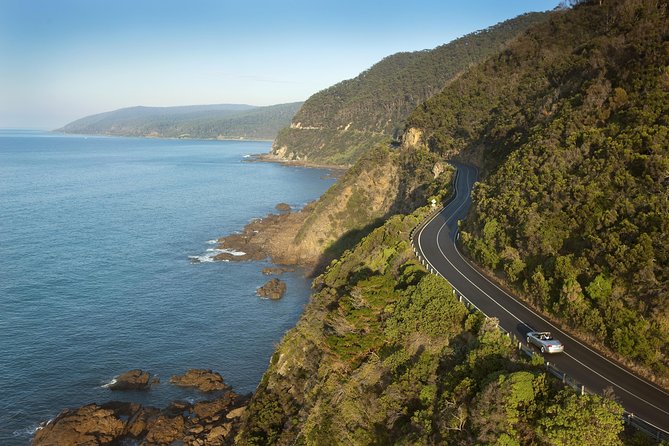 Private Great Ocean Road and Twelve Apostles Tour from Melbourne - A Private Great Ocean Road Day Starts at 8:00 am