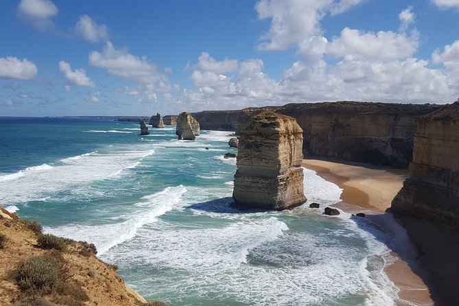 Private Great Ocean Road Day Trip from Melbourne - Otways rainforest walk: where the day slows down a bit