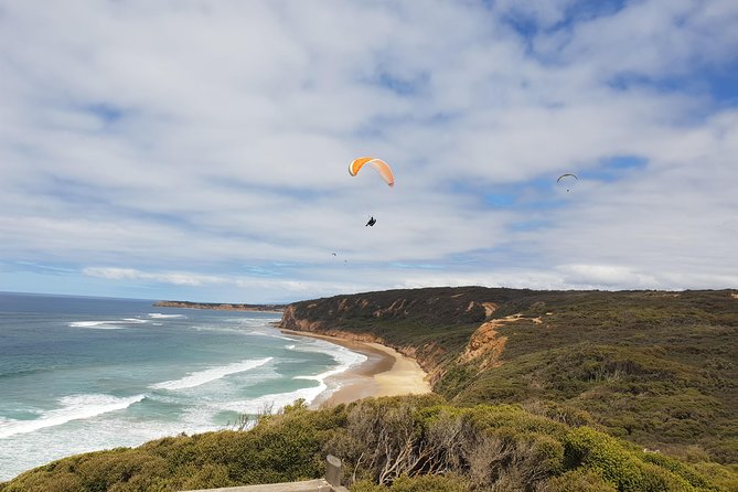 Private Great Ocean Road Day Trip from Melbourne - Lorne and Teddy’s Lookout, plus Kennett River koala chances