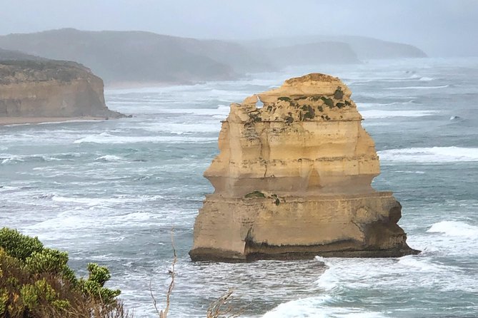 Private Great Ocean Road Local Experience - Melba Gully Rainforest Walk: When Time Allows the Otways