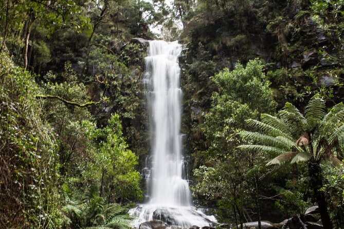 Private Great Ocean Road - The Ultimate Aussie Adventure - A Day That Hits the Great Ocean Road’s Biggest Themes