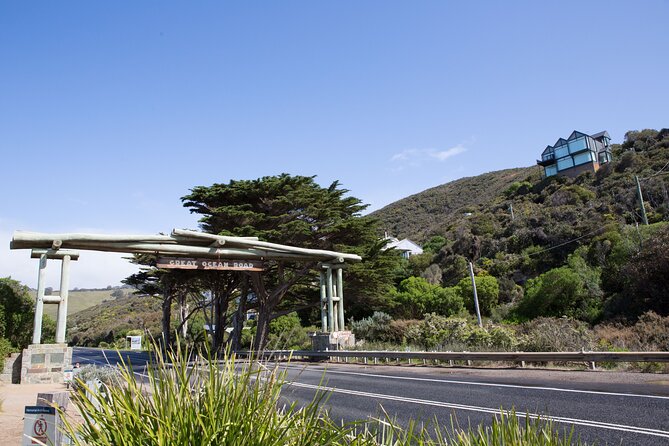 Private Great Ocean Road - The Ultimate Aussie Adventure - Eucalyptus Forest Stories: Gumtrees, Wallabies, and the Unexpected