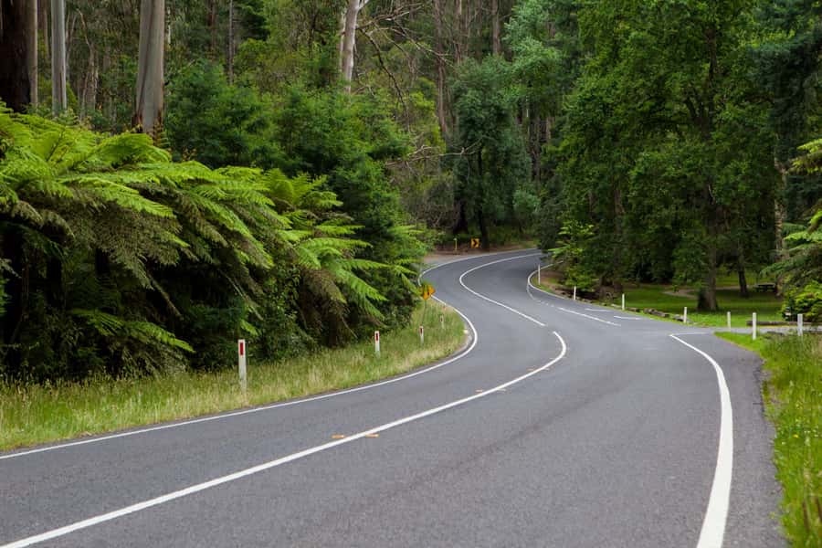 Private Great Ocean Road Tour - Lorne and Apollo Bay stops: how to fuel without losing momentum