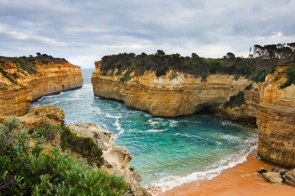 Private Great Ocean Road Tour - Kennett River for birdlife and koalas: a wildlife moment that isn’t rushed