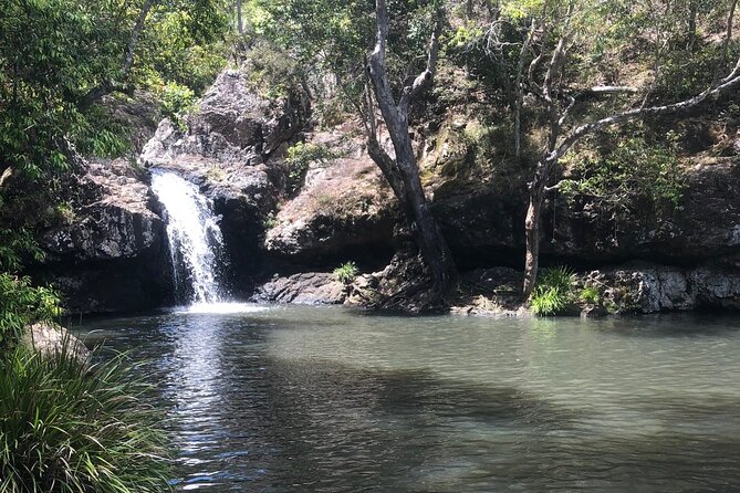Private Group Tour Brisbane & Gold Coast Personal Tours - Gold Coast Beach Time Plus Skypoint Tower If You Want It