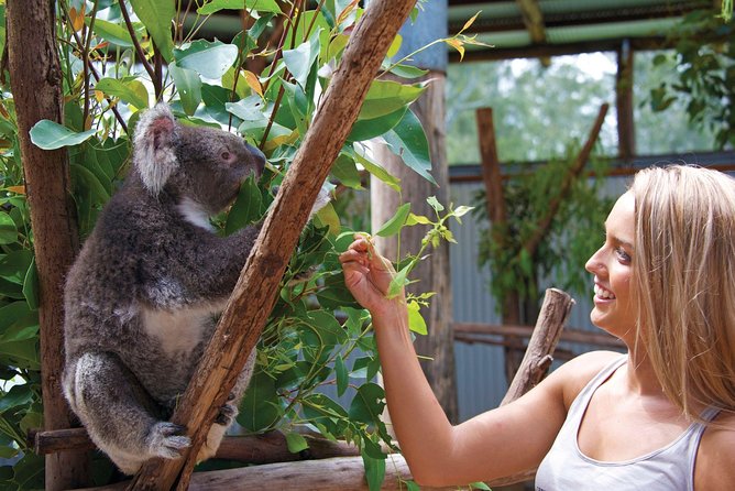 Private Guided Tour: Blue Mountains Tour from Sydney - Private Blue Mountains Day Without the Herd