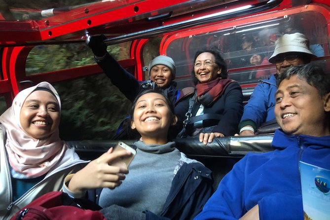 Private Guided Tour from Sydney to Blue Mountains National Park - Leura and Blackheath stops: small-town breaks in the middle of big views