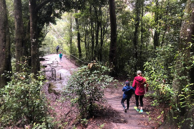 Private Guided Tour from Sydney to Blue Mountains National Park - What the group size and price really mean for value