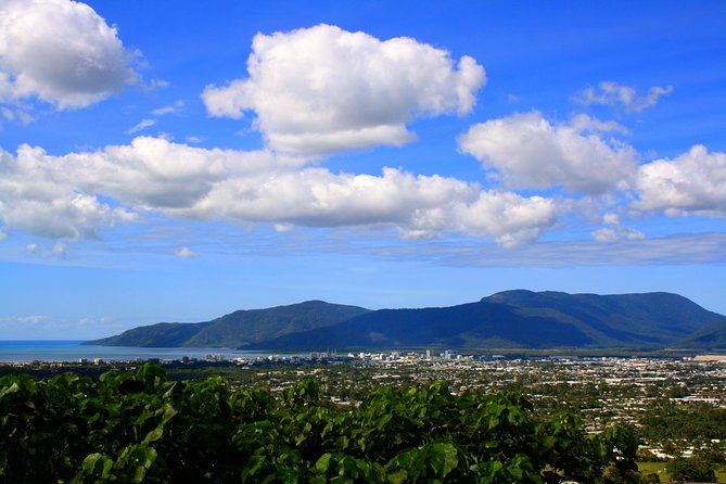 Private Half Day Tour: World Heritage Rainforest & Waterfall - A half-day private route through the Wet Tropics UNESCO zone