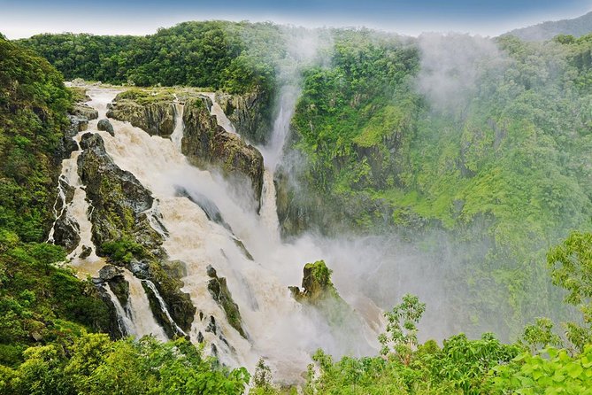 Private Half Day Tour: World Heritage Rainforest & Waterfall - Davies Creek National Park: the swim stop that turns scenery into a memory