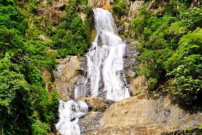 Private Half Day Tour: World Heritage Rainforest & Waterfall - What’s included (and why it can be better than DIY)