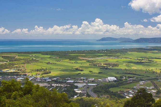 Private Half Day Tour: World Heritage Rainforest & Waterfall - Morning vs afternoon: choosing the best time in Cairns