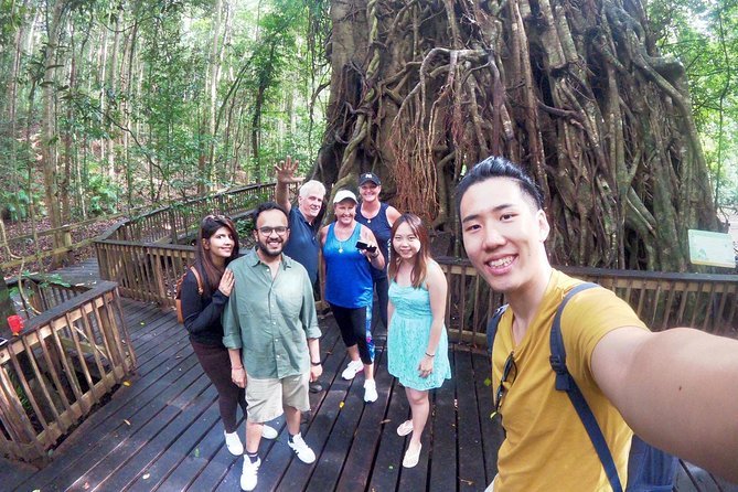 Private Half Day Tour: World Heritage Rainforest & Waterfall - Kuranda Range and Barron Gorge National Park: waterfall timing and viewpoints
