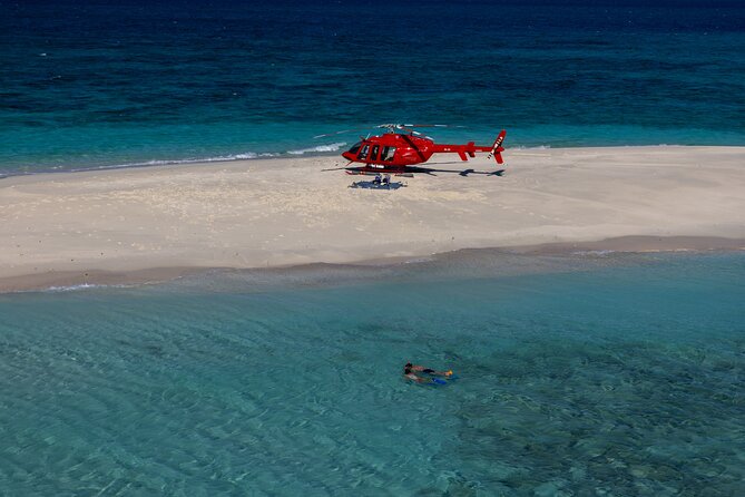 Private Helicopter Tour: Reef Island Snorkeling and Gourmet Picnic Lunch - Landing on Vlasoff Cay (and the Turtle Beach backup)