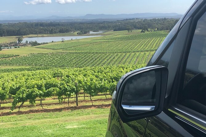 Private Hunter Valley Luxury Tour From Sydney - The day’s flow: from the park to the river crossing to valley tastings