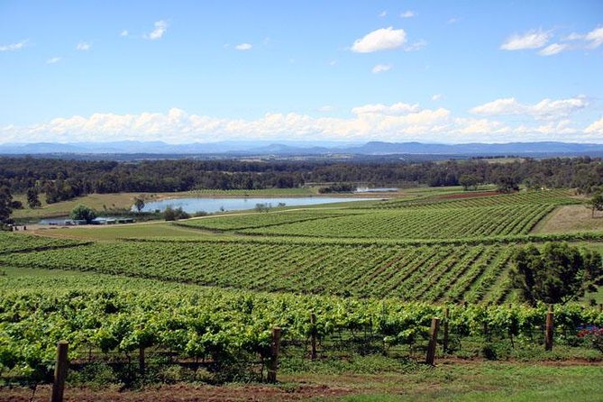 Private Hunter Valley Wine-Tasting Day Tour from Sydney - Key Things You’ll Like Most