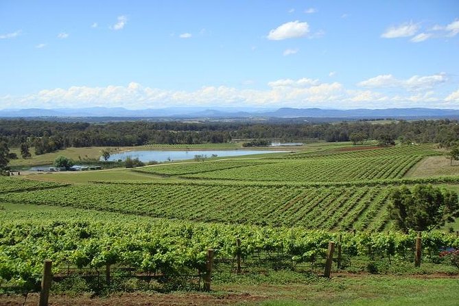Private Hunter Valley Wine-Tasting Day Tour from Sydney - From Sydney CBD to Hunter Valley: The 7:45am Reality