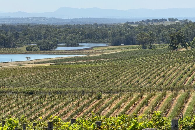 Private Hunter Valley Wine Tasting Tour from Sydney - Wollombi First: The Optional Town Stop That Turns Wine Into a Full Day